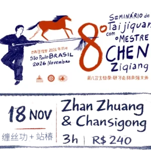 Zhan zhuang 缠丝功 e Chansigong 站椿