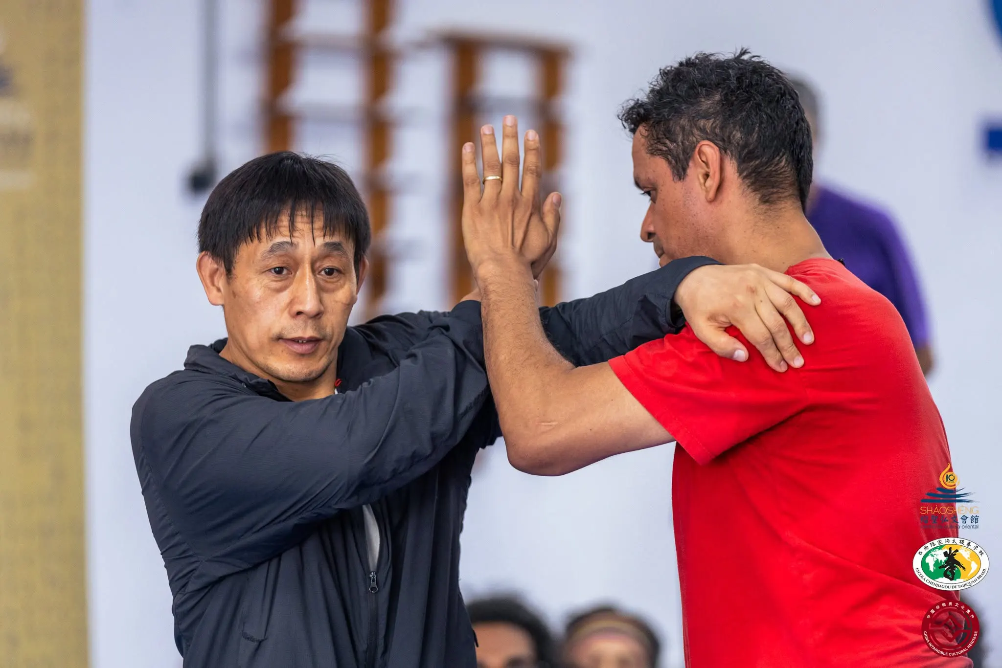 Mestre Chen Ziqiang