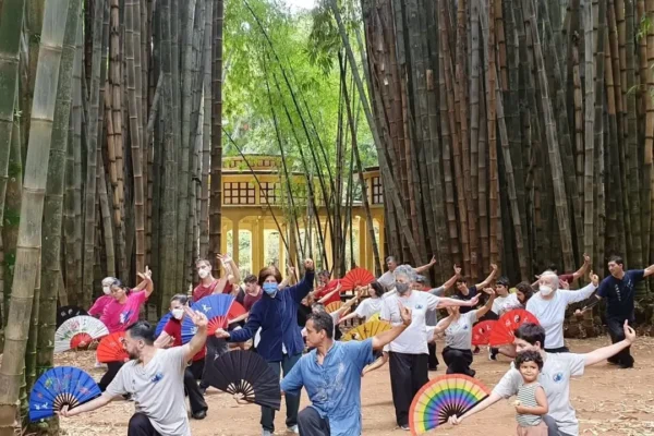 taijiquan dia a dia